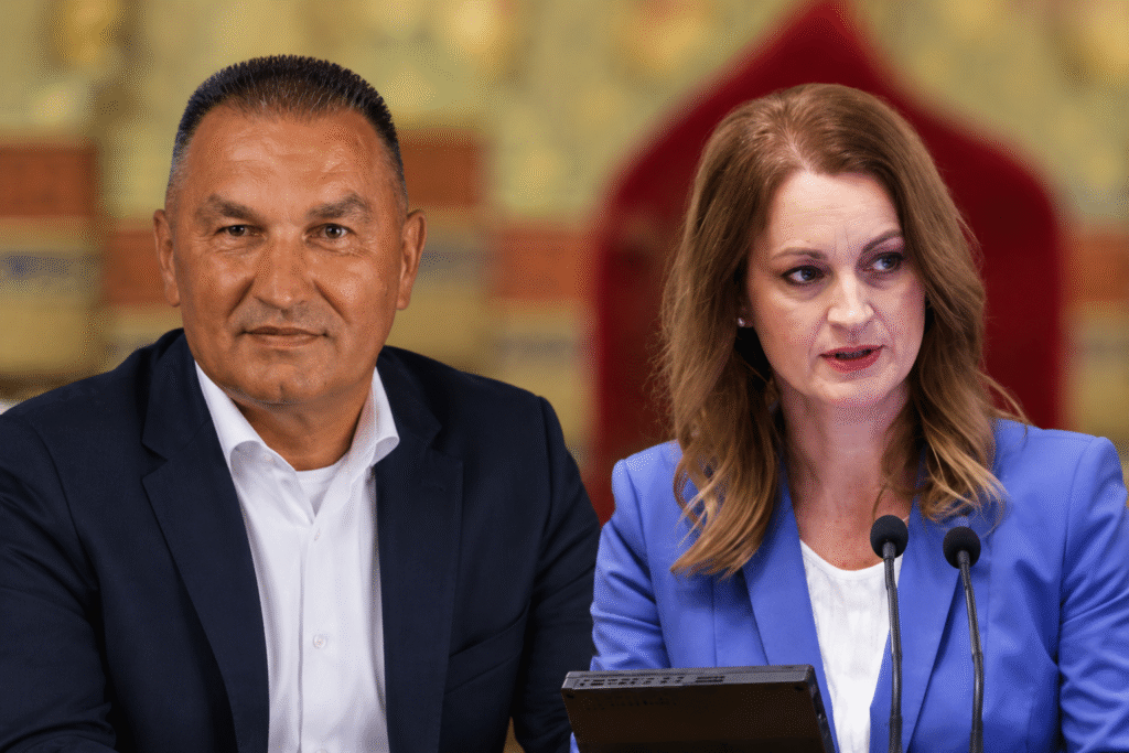 Demeter Tamás korábbi NAV-elnökhelyettes távozása