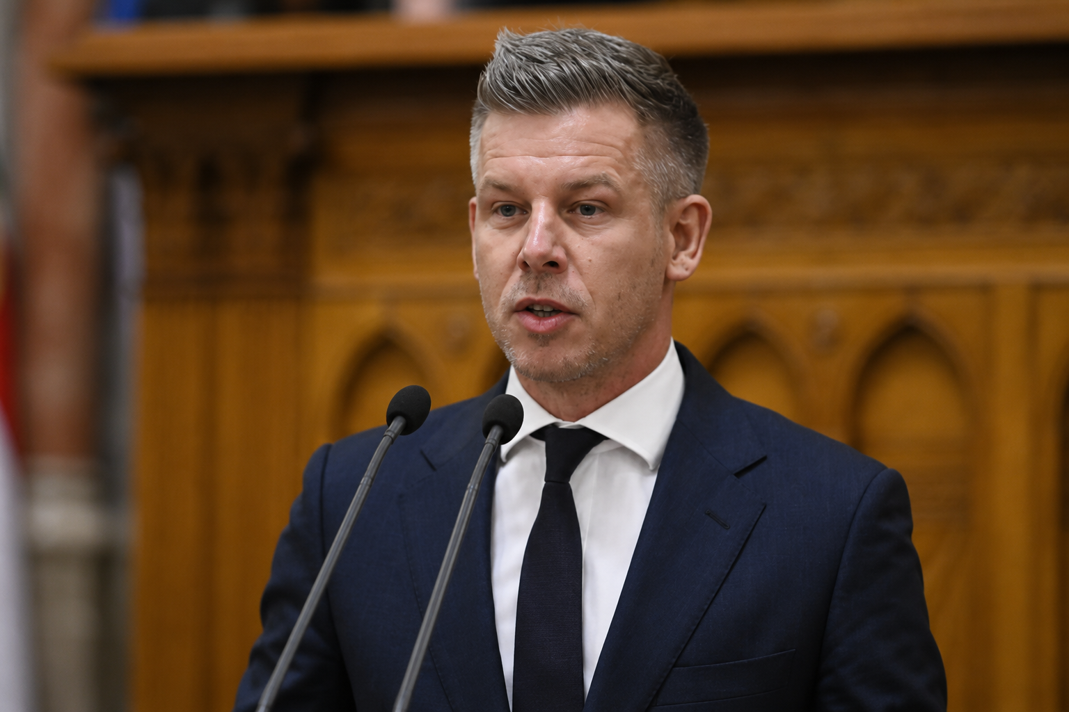 Magyar Péter ahol reagáltak a magyar Alaptörvény 17. módosításával kapcsolatos fejleményekre.