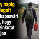Kimerült férfi gyalogol egy mezőgazdasági terület mellett a nyári hőségben.